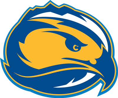 FLCTrack
