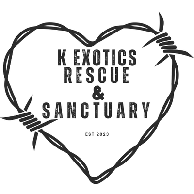 K Exotics