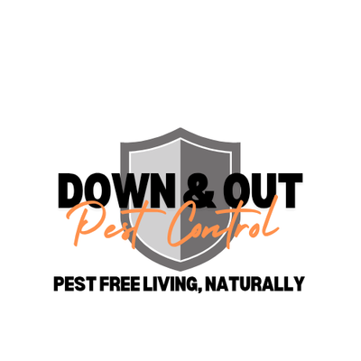 Down and Out  Merch