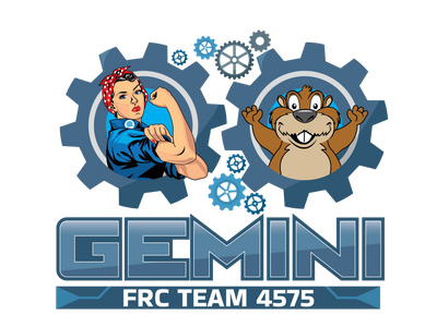 Gemini Team Store