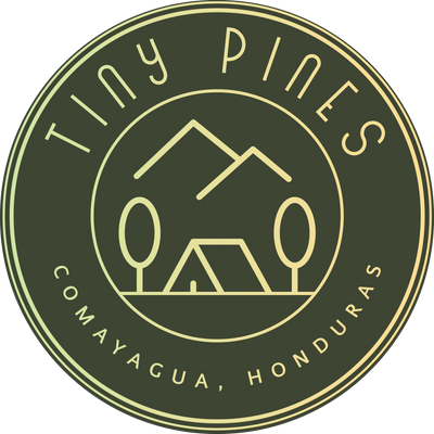 Tiny Pines USA