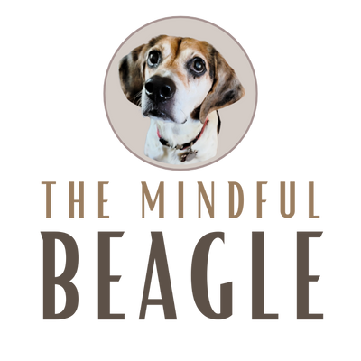The Mindful Beagle