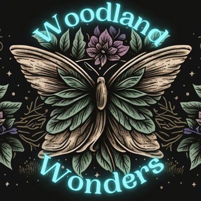 Woodland Wonders