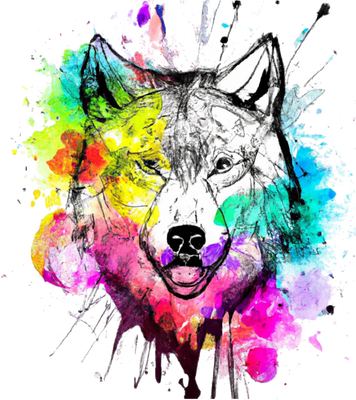 Rainbow Wolf Co Outdoors