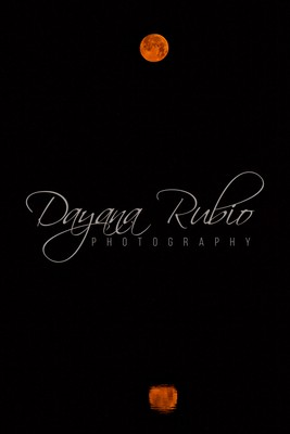 DayanaRubioPhotography