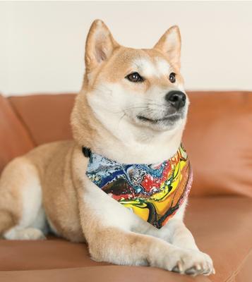 Cha-s Art for Pets