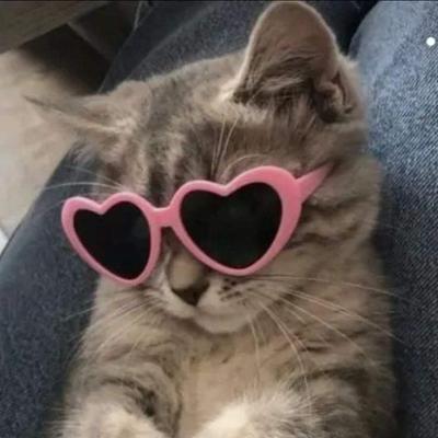 Miw Miu Cat