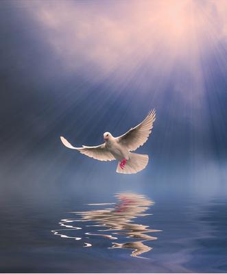 Raising faith 