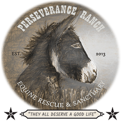 Equine Rescue Sanctuary