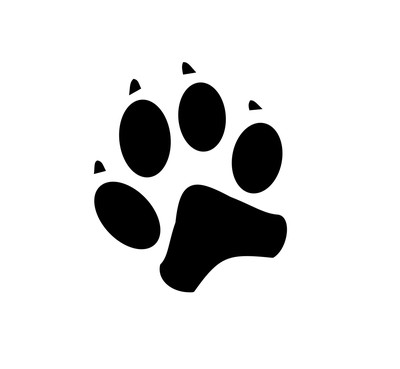 SmashPuppy