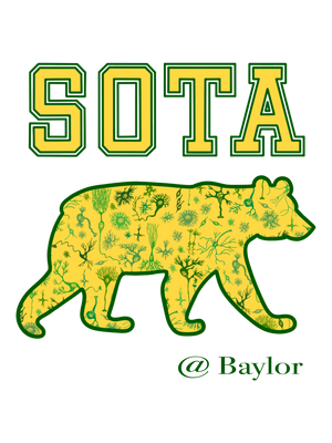 SOTA Baylor