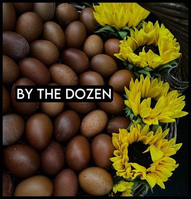 By the Dozen 