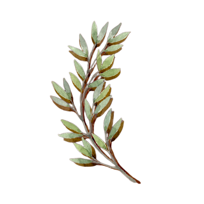 Legacy Lane Genealogy 