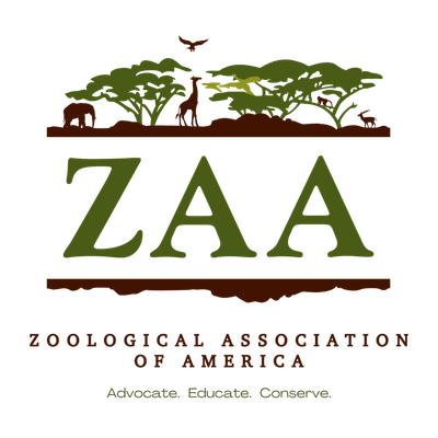 ZAA Merchandise Store