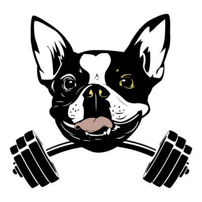 Underdog Fitness