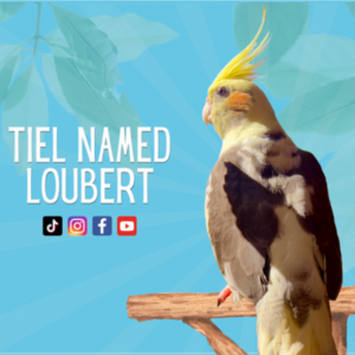 Tiel Named Loubert