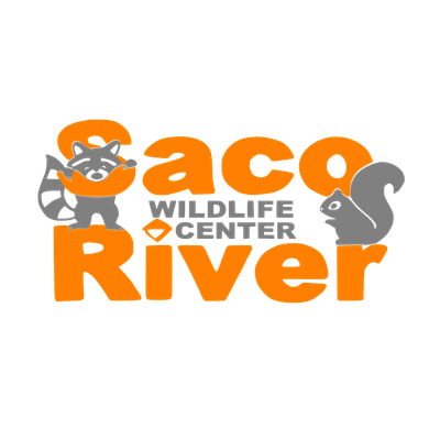 Saco River Wildlife Center