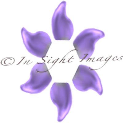 In Sight Images