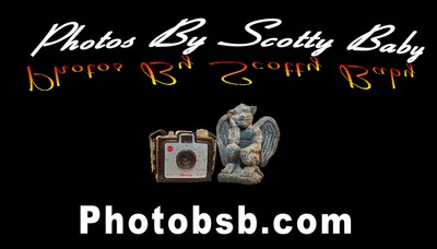 Photos by Scotty Baby