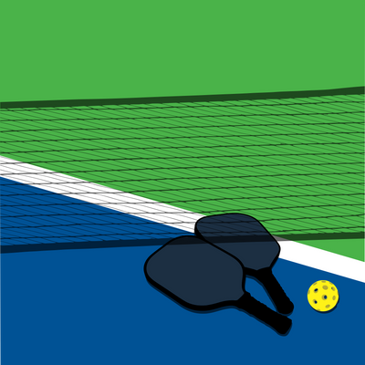 PickleBall SportsZone