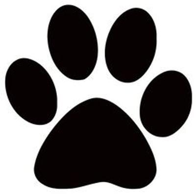 paw paradise