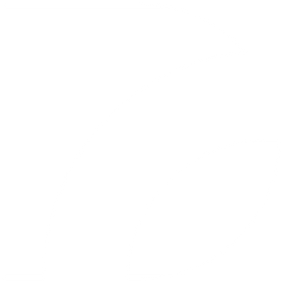 DigiVex