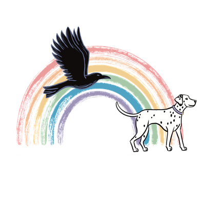 Big Crow Studio