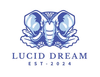 LUCID DREAM