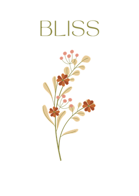 Bliss Market