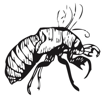 CicadaQuest