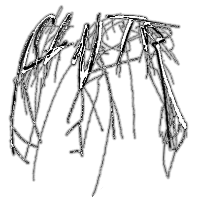 CLNTR
