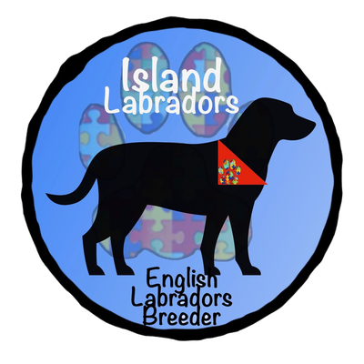 Island Labradors