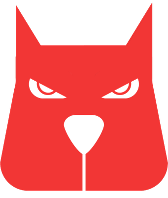 Merch Carnes Tinhoso