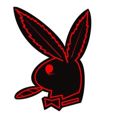 Discover Our Exclusive Range at Playgirl