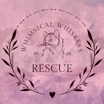 Whimsical Whiskers Rescue