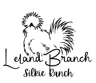 Leland Branch Silkie Ranch