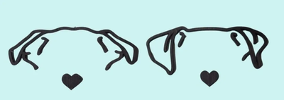 All Star Pet Care Shop