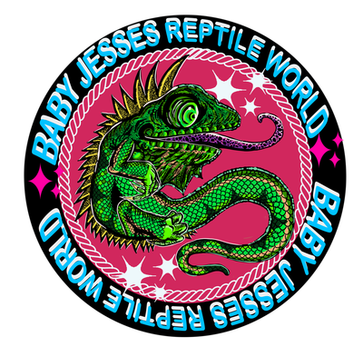 Baby Jesses Reptile World