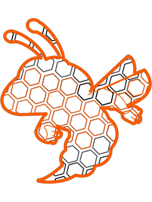 MVHS HIVE by Ricky Ruckus 