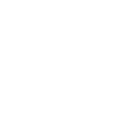 Coco Puerto Rico