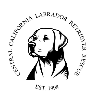 CCLRR