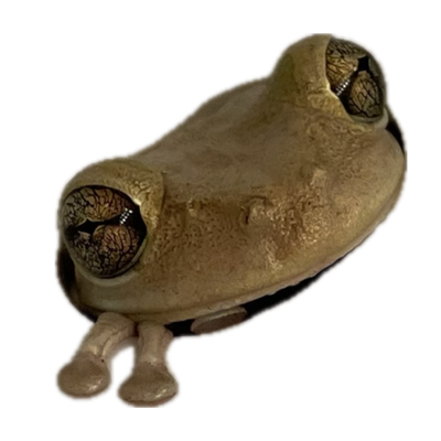 Sinkfrog's General Store