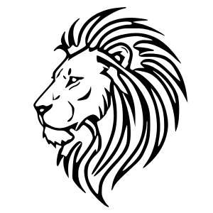 New Vision for Africa 