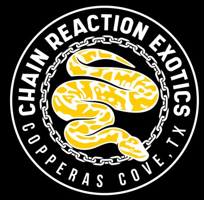 Chain Reaction Exotics