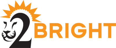 2Bright313