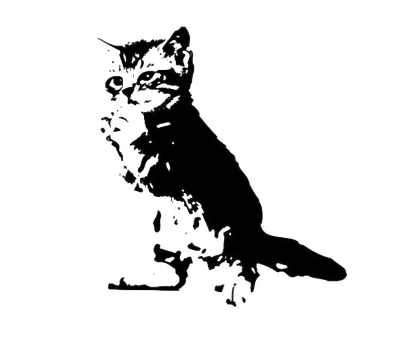 Discover Our Exclusive Range at pussycat