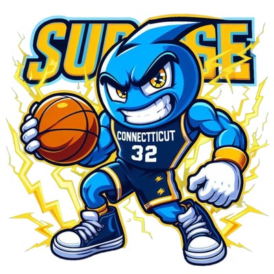 TheConnecticutSurgeShop