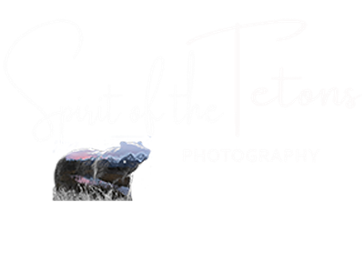 Spirit of the Tetons 