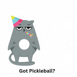 Got Pickleball