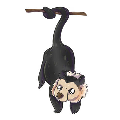 Monkeybear Creations